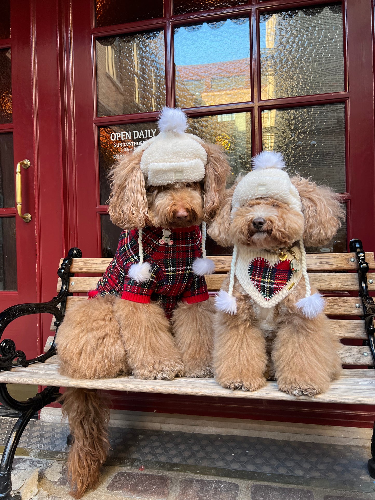 Creamy Cloud Dog GG Beanie