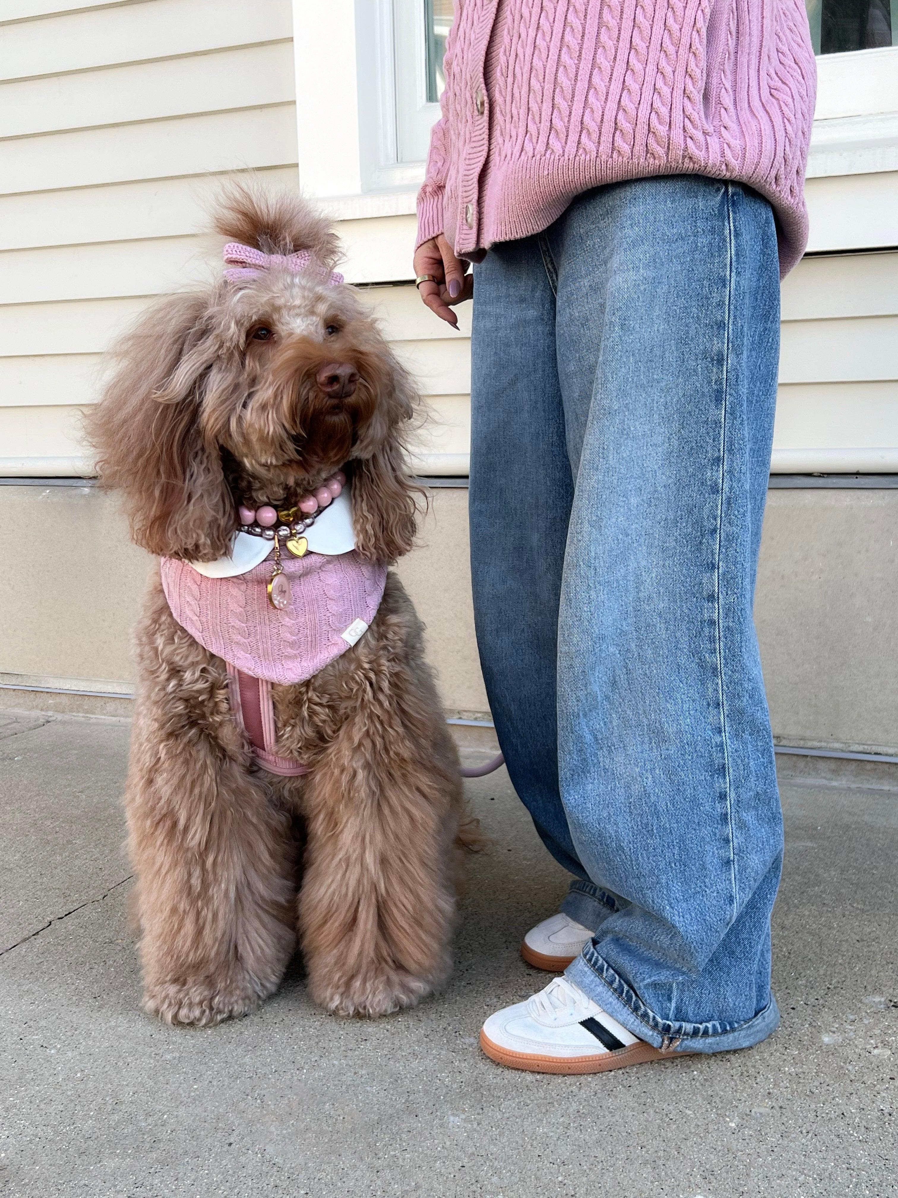 Gigis – Pawshion by Gigi Gigis – Pawshion by Gigi