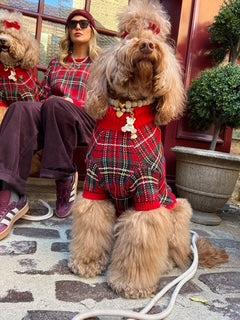 Tartanette Dog Sweater